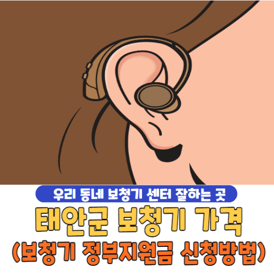 베트남 여행 준비 필수 베트남 돈 환율 계산기 및 현지 환전 꿀팁 총정리